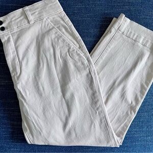 Everlane The Organic Straight-Leg Pant, Size 14